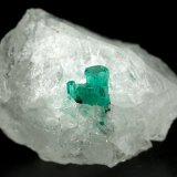 Beryl (variety emerald), Calcite
27x18x18mm - Aggregate=6x5mm
(Autor: Fiebre Verde)