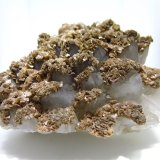 Ankerite on Quartz
15 x 10 cm
(Autor: Jean Suffert)