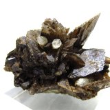 Axinite-(Fe), Quartz
8 x 8 cm
(Autor: Jean Suffert)