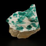 Beryl (variety emerald), Pyrite, Calcite, Albite (variety cleavelandite)
70x62x11mm, xls up to 8mm long
(Autor: Fiebre Verde)