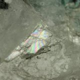 Beryl (variety emerald), Calcite
39x27x25mm, main xl=11mm
(Autor: Fiebre Verde)