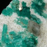 Beryl (variety emerald), Pyrite, Calcite, Albite (variety cleavelandite)
70x62x11mm, xls up to 8mm long
(Autor: Fiebre Verde)