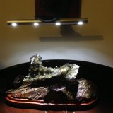 Fluorite
16cm x 4cm x 7cm
(Autor: Mark Ost)