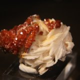 Vanadinite on Barite
46mm x 34mm x 40mm
(Autor: Firmo Espinar)