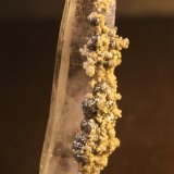 Apatite and Pyrite on Quartz
25mm x 86mm x 21mm
(Autor: Firmo Espinar)