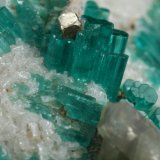 Beryl (variety emerald), Pyrite, Calcite, Albite (variety cleavelandite)
70x62x11mm, xls up to 8mm long
(Autor: Fiebre Verde)