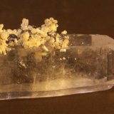 Apatite and Pyrite on Quartz
25mm x 86mm x 21mm
(Autor: Firmo Espinar)