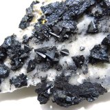 Tetrahedrite on Quartz
11 x 8 cm biggest cristal 10 mm
(Autor: Jean Suffert)