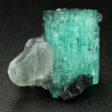 Beryl (variety emerald), Calcite
xl=19x13mm
(Autor: Fiebre Verde)