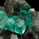 Beryl (variety emerald), Calcite, Pyrite
38x24x29mm, largest xl=17mm
(Autor: Fiebre Verde)
