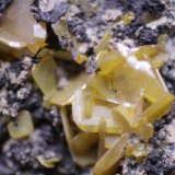 Wulfenite
40mm x 31mm x 20mm. Close up.
(Autor: Firmo Espinar)