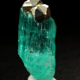 Beryl (variety emerald), Pyrite
xl=27x20mm
(Autor: Fiebre Verde)