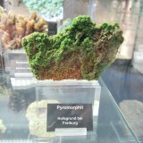 Pyromorphite
Specimen size ~ 10 cm
(Autor: Tobi)