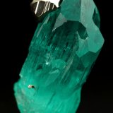 Beryl (variety emerald), Pyrite
xl=27x20mm
(Autor: Fiebre Verde)