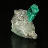 Beryl (variety emerald), Calcite, Dolomite
xl=18x6mm
(Autor: Fiebre Verde)