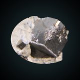Cookeite and Pyrite
13mm on edge pyrite
(Autor: Firmo Espinar)