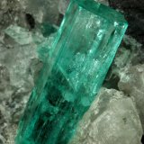 Beryl (variety emerald), Calcite
100x50x70mm, largest xl=17mm
(Autor: Fiebre Verde)