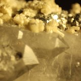 Apatite and Pyrite on Quartz
FOV 11 mm
(Autor: Firmo Espinar)