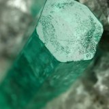 Beryl (variety emerald), Calcite
100x50x70mm, largest xl=17mm
(Autor: Fiebre Verde)