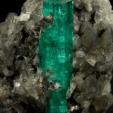 Beryl (variety emerald), Calcite
37x45mm, xl=34mm
(Autor: Fiebre Verde)