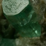 Beryl (variety emerald), Calcite
xl=10mm
(Autor: Fiebre Verde)