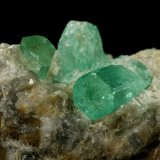 Beryl (variety emerald), Calcite
Crystals are about 1cm long
(Autor: Fiebre Verde)