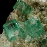 Beryl (variety emerald), Calcite
Crystals are about 1cm long
(Autor: Fiebre Verde)
