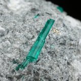 Beryl (variety emerald), Pyrite, Dolomite, Albite (variety cleavelandite)
95x79x69mm, main xl=16mm, pyritohedron=7mm
(Autor: Fiebre Verde)