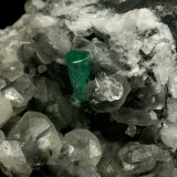 Beryl (variety emerald), Calcite, Quartz
Emerald crystal is 11mm long
(Autor: Fiebre Verde)