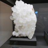Quartz
~ 30 cm
(Autor: Tobi)