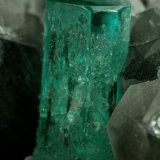 Beryl (variety emerald), Calcite, Quartz
Emerald crystal is 11mm long
(Autor: Fiebre Verde)