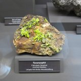 Pyromorphite
Specimen size ~ 12 cm
(Autor: Tobi)