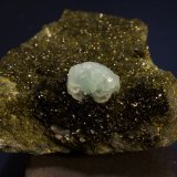 Prehnite on Epidote
6 cm wide x 3 cm high x 8 cm deep (front to back). Prehnite is 1.5 cm.
(Autor: vic rzonca)