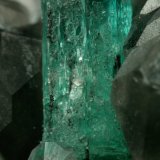 Beryl (variety emerald), Calcite, Quartz
Emerald crystal is 11mm long
(Autor: Fiebre Verde)