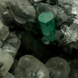 Beryl (variety emerald), Calcite, Quartz
Emerald crystal is 11mm long
(Autor: Fiebre Verde)