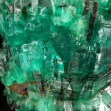Beryl (variety emerald)
Cluster=43x36x38mm
(Autor: Fiebre Verde)