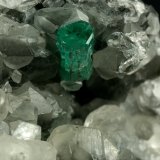 Beryl (variety emerald), Calcite, Quartz
Emerald crystal is 11mm long
(Autor: Fiebre Verde)