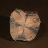 Andalusite (variety chiastolite)
34mm x 36mm x 13mm
(Autor: Firmo Espinar)