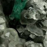 Beryl (variety emerald), Calcite, Quartz
Emerald crystal is 11mm long
(Autor: Fiebre Verde)