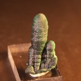 Malachite
21mm x 43mm x 17mm
(Autor: Firmo Espinar)