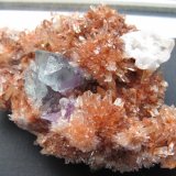 Creedite, Fluorite
7.6 x 5.4 x 2.2 cm
(Autor: steven calamuci)