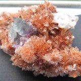 Creedite, Fluorite
7.6 x 5.4 x 2.2 cm
(Autor: steven calamuci)