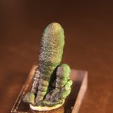 Malachite
21mm x 43mm x 17mm
(Autor: Firmo Espinar)