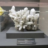 Quartz
~ 20 cm
(Autor: Tobi)