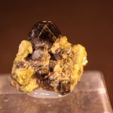 Andradite
24mm x 22mm x 16mm
(Autor: Firmo Espinar)