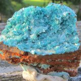 Aurichalcite
17 x 13 mm
(Autor: steven calamuci)