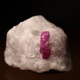 Corundum (variety ruby)
25mm x 20mm x 18mm.  Crystal: 12 mm
(Autor: Firmo Espinar)