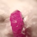 Corundum (variety ruby)
Crystal: 12 mm.
(Autor: Firmo Espinar)