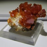 Vanadinite on Barite
4.3 cm X 2.5 cm
(Autor: steven calamuci)