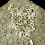 Beryl (variety emerald), Calcite, Pyrite, Albite
Detail, FOV=2cm
(Autor: Fiebre Verde)